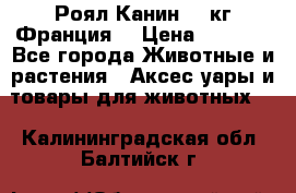  Роял Канин 20 кг Франция! › Цена ­ 3 520 - Все города Животные и растения » Аксесcуары и товары для животных   . Калининградская обл.,Балтийск г.